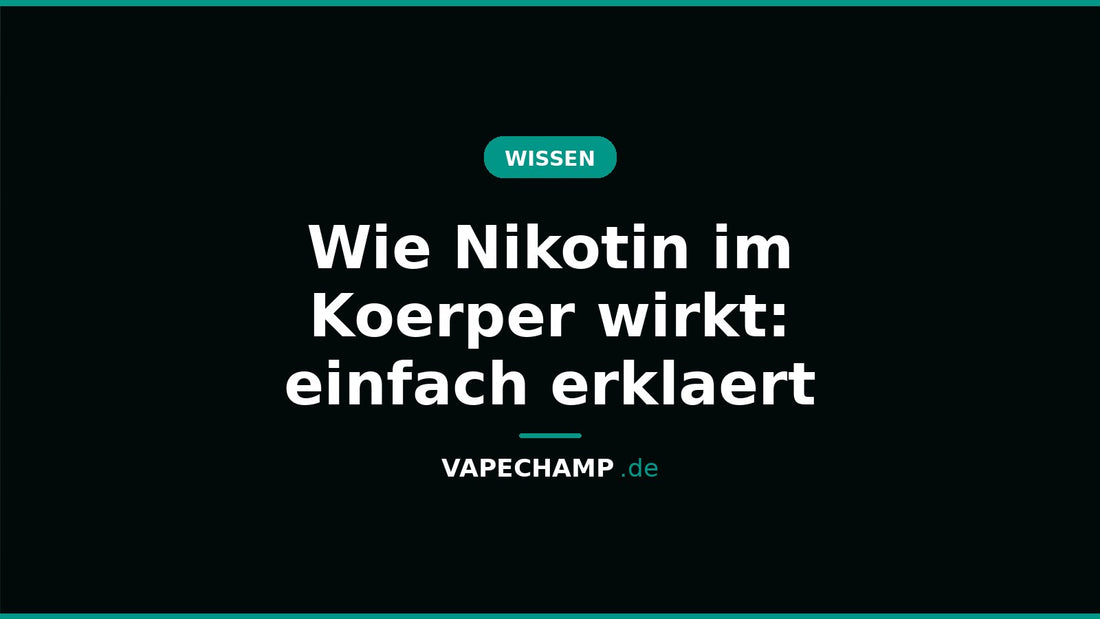 Wie Nikotin im Koerper wirkt: einfach erklaert – Ratgeber bei Vapechamp.de