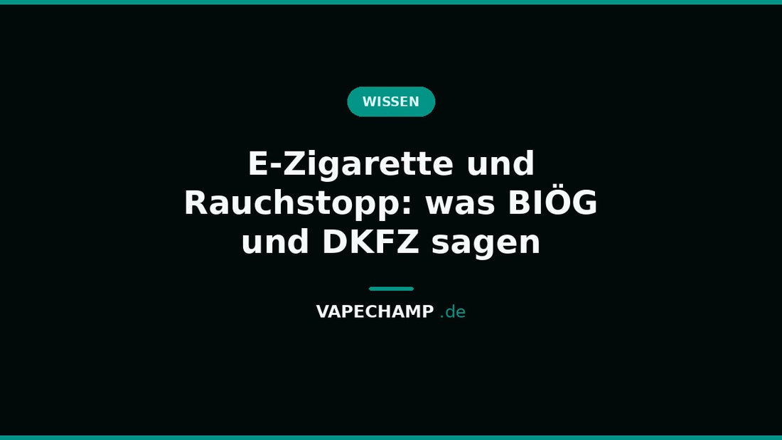 E-Zigarette und Rauchstopp: was BIÖG und DKFZ sagen – Vapechamp.de