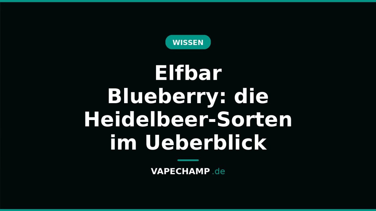 Elfbar Blueberry: die Heidelbeer-Sorten im Ueberblick - Vapechamp.de