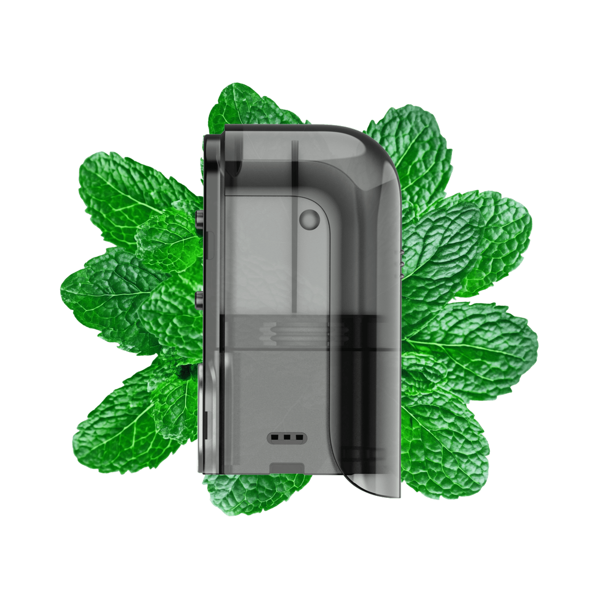 PIXL Max 20K – Prefilled Pods (10 ml | 10 mg/ml & 20 mg/ml) - Vapechamp.de